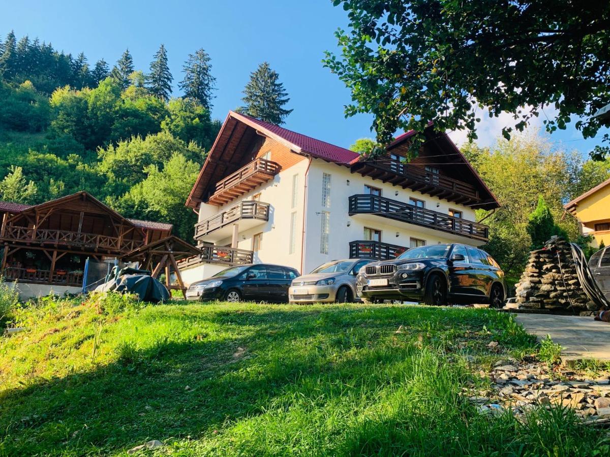 Pensiunea Pietrosul Borsa  Exterior photo